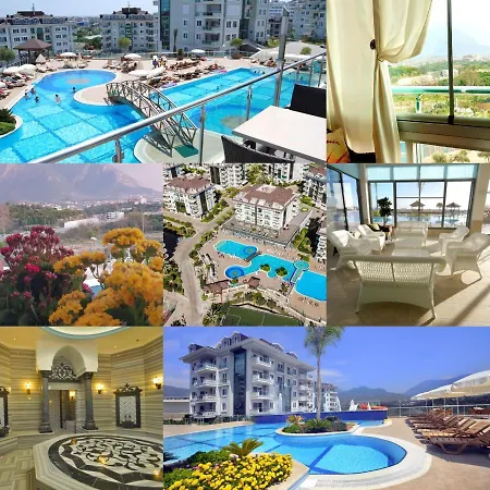 Antalya/alanya Olive